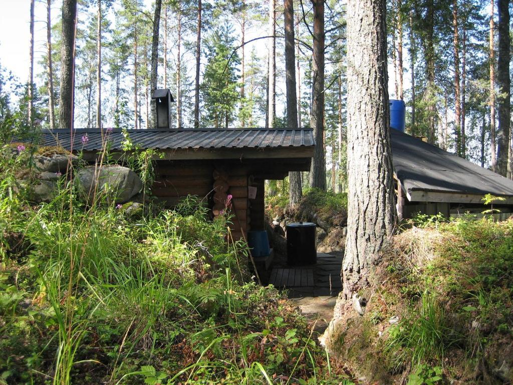 Topin Tuvat Oravisalo Værelse billede